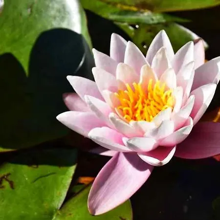 Apartament L'echappee Belle A L'etang D'anty -appartement Saint-Nabord